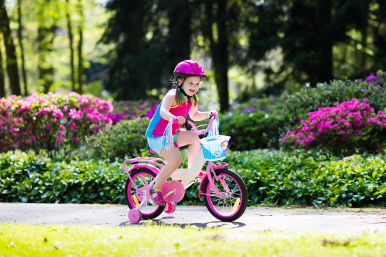 Recycle a Bicycle